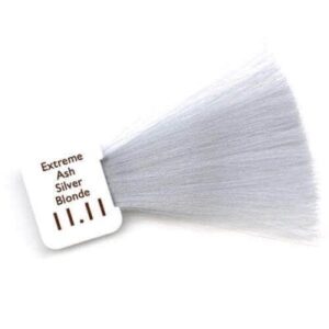 11 11 extrme ash silver blonde 400x400 1 | MCCP COIFFURE BIO