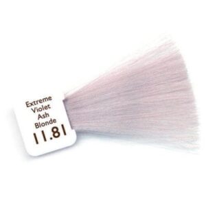 11 81 extreme violet ash blonde 400x400 1 | MCCP COIFFURE BIO