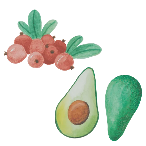 Cranberry avocado ingredients 1 600x600 1