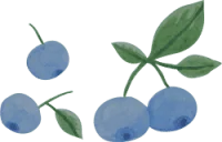 ingredinet Bilberry 200x128.png