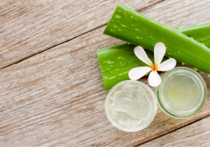 Scopri di più sull'articolo Tous les bienfaits de l’aloe vera pour vos cheveux